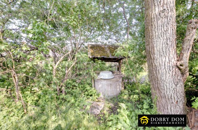 dom wolnostojący, 3 pokoje Białowieża. Zdjęcie 4