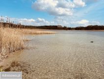 Działka rekreacyjna Ostrowo. Zdjęcie 2