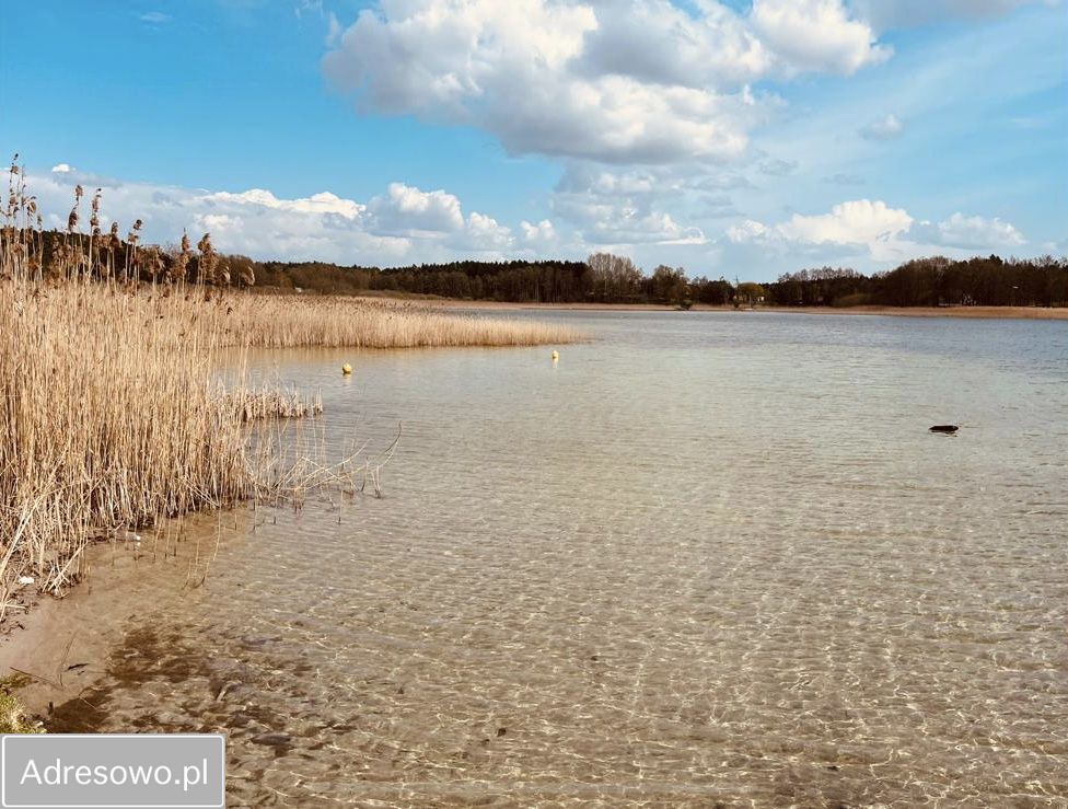 Działka rekreacyjna Ostrowo. Zdjęcie 3