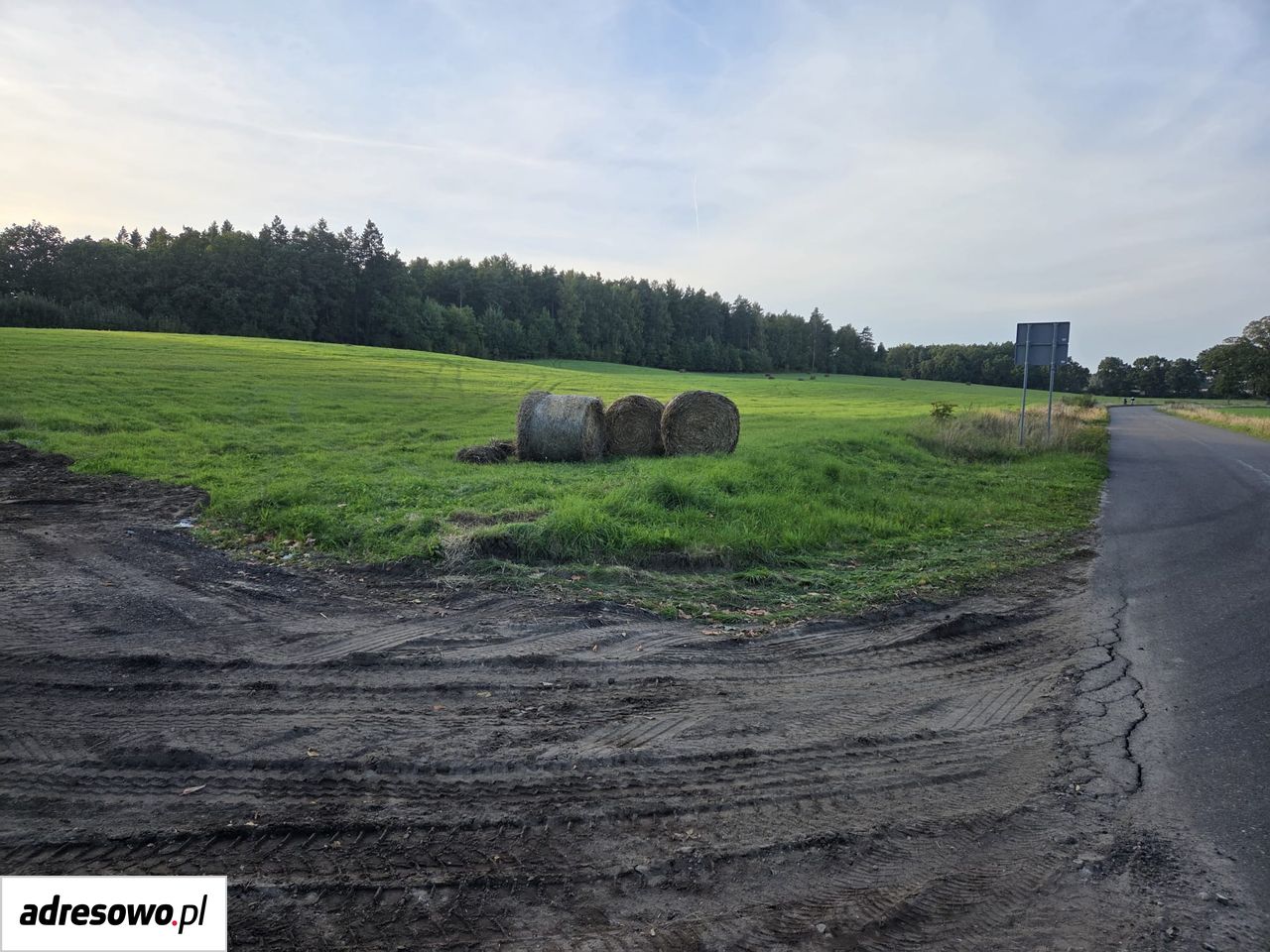 Działka rolno-budowlana Niedalino. Zdjęcie 2