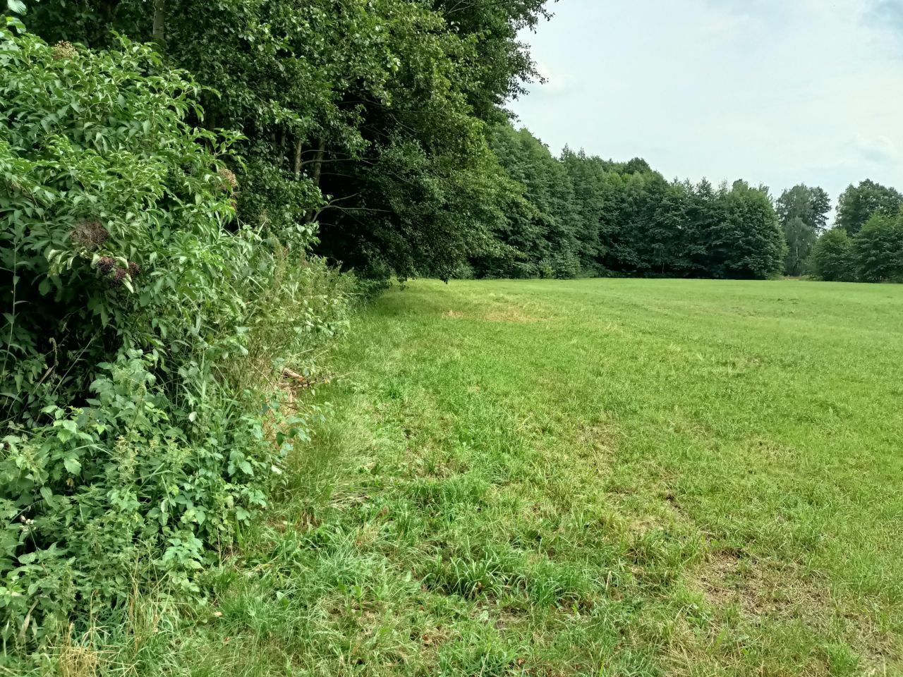 Działka rolno-budowlana Ogorzelczyn. Zdjęcie 10