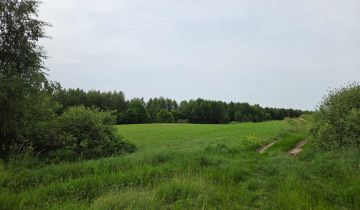 gospodarstwo, 3 pokoje Giby