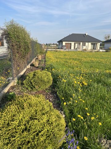 Działka budowlana Obrowo. Zdjęcie 4