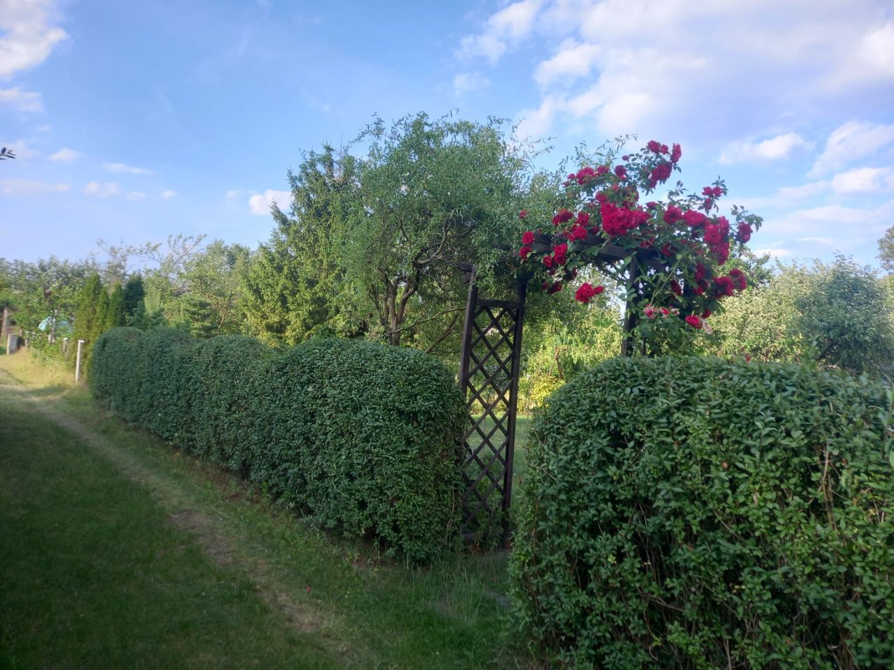 Działka rekreacyjna Nowa Sól. Zdjęcie 7