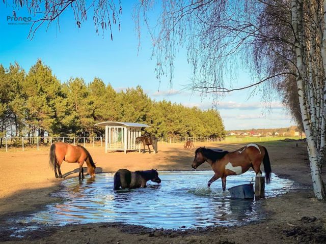 dom wolnostojący, 5 pokoi Chylin. Zdjęcie 21