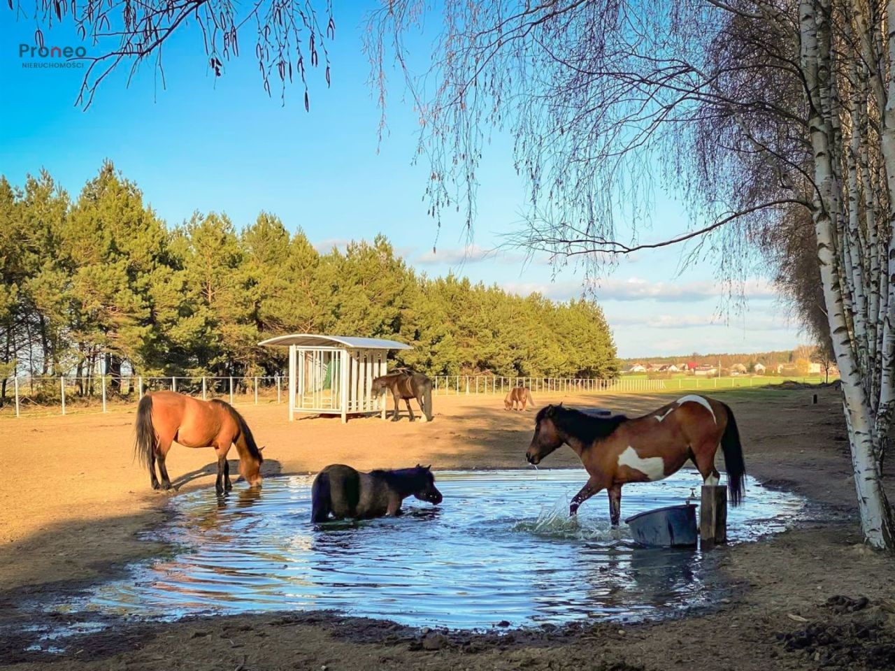 dom wolnostojący, 5 pokoi Chylin. Zdjęcie 21