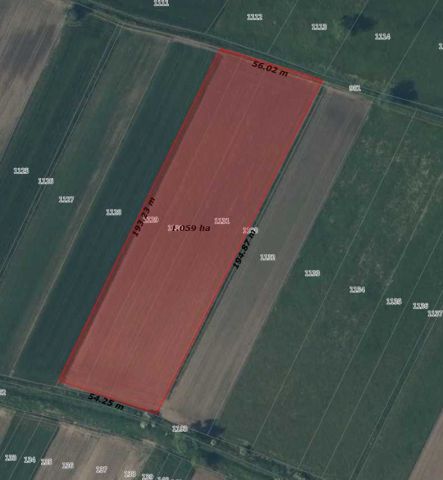 Działka rolna Kobylniki. Zdjęcie 1