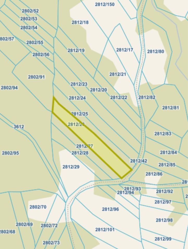 Działka leśna Juszczyna. Zdjęcie 2