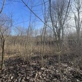 Działka inwestycyjna Bystrzyca Kłodzka. Zdjęcie 2