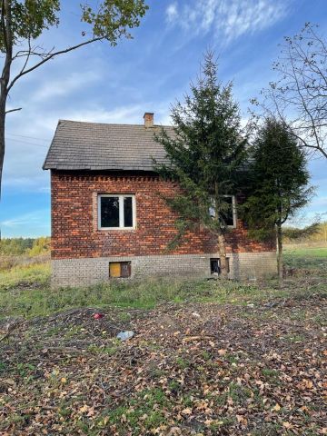 dom wolnostojący, 4 pokoje Niegowonice, ul. Zbożowa. Zdjęcie 1