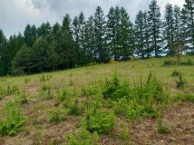 Działka inwestycyjna Borek Kamienny. Zdjęcie 1