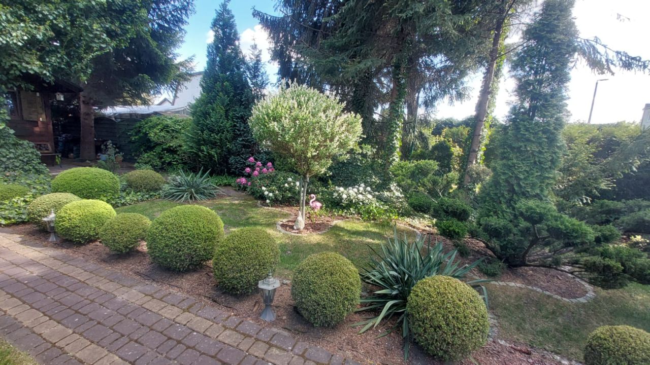 Działka rod Toruń Centrum, ul. Wielki Rów. Zdjęcie 5