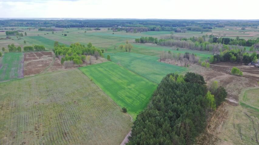 Działka rolno-budowlana Cieciory. Zdjęcie 4