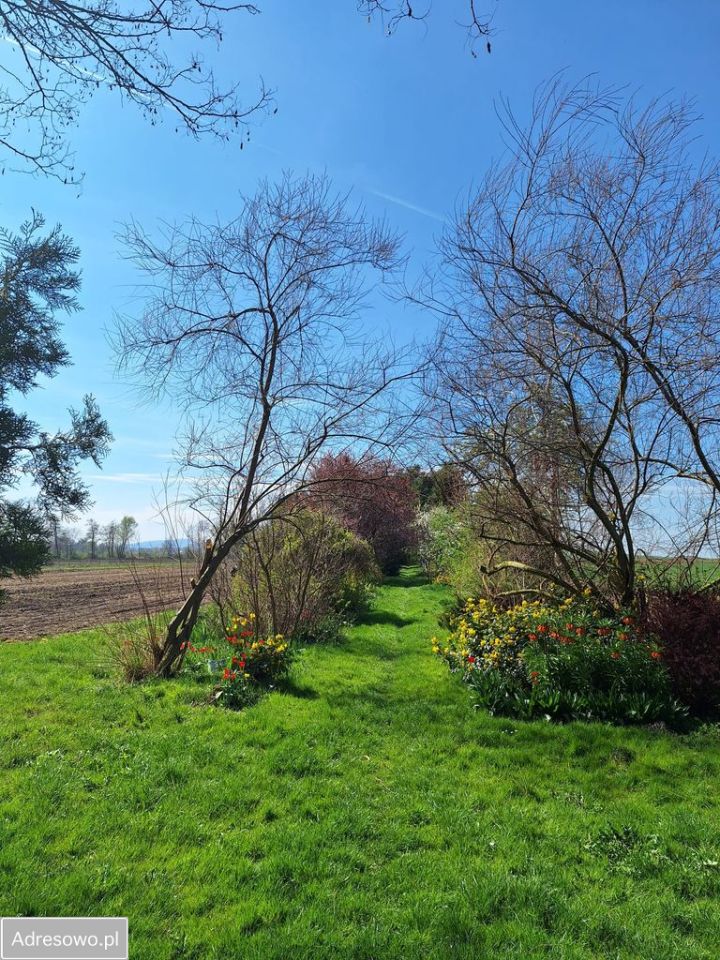 dom wolnostojący, 4 pokoje Bartoszowa. Zdjęcie 2