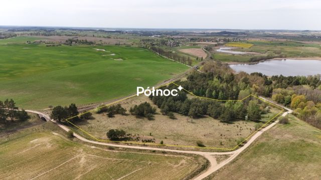 Działka rolna Rogale. Zdjęcie 4