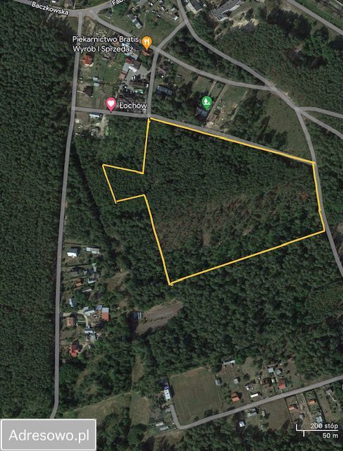 Działka leśna Baczki. Zdjęcie 2