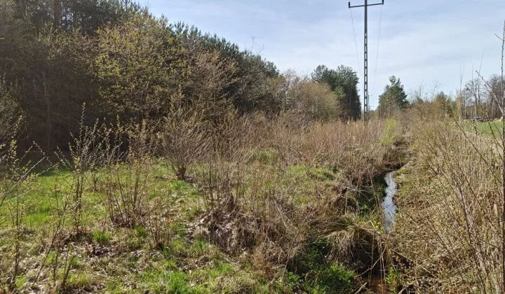 Działka rolno-budowlana Pogorzelec