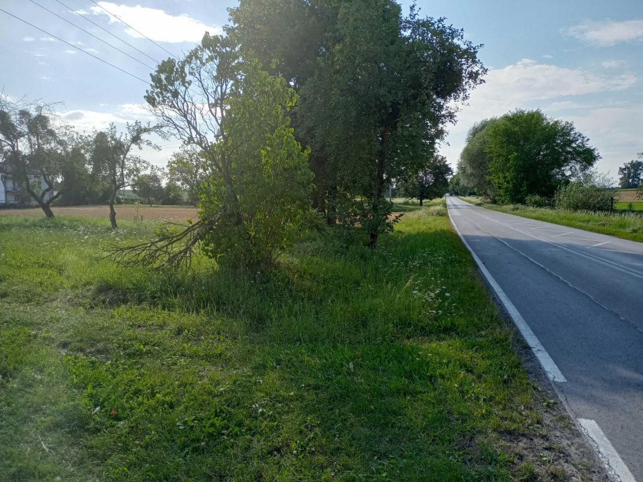 Działka rolno-budowlana Ochoża-Kolonia. Zdjęcie 4