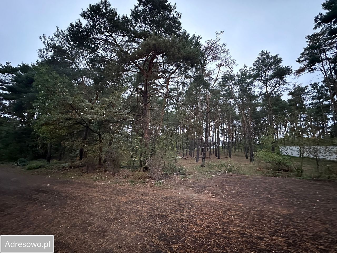 Działka inwestycyjna Marki, ul. Hetmańska. Zdjęcie 6