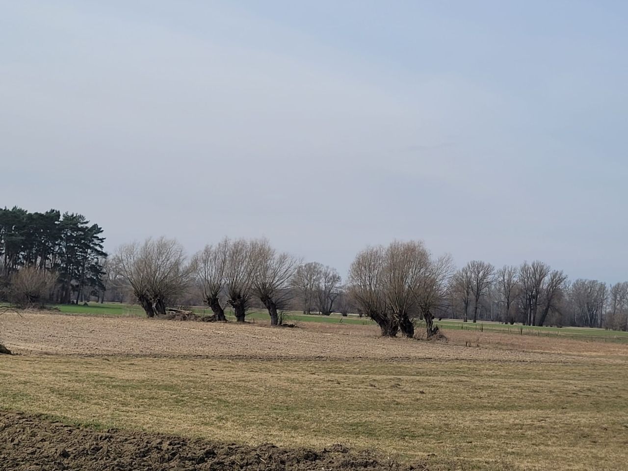 Działka budowlana Silno, ul. Wiślana. Zdjęcie 6