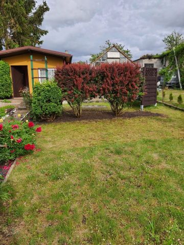 Działka rod Czarnków. Zdjęcie 1