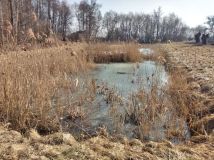 gospodarstwo Tryl. Zdjęcie 4