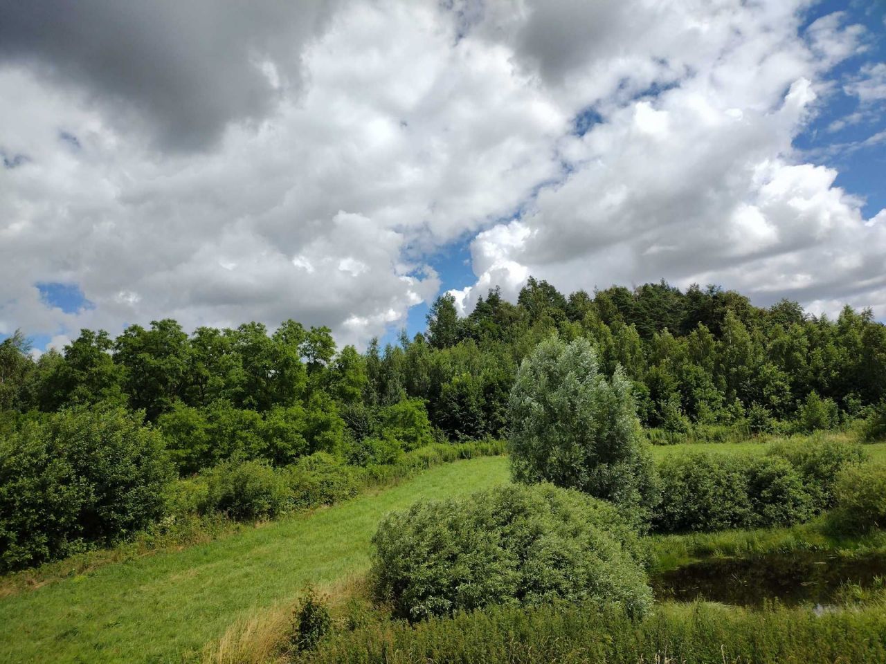 Działka siedliskowa Orzechówko