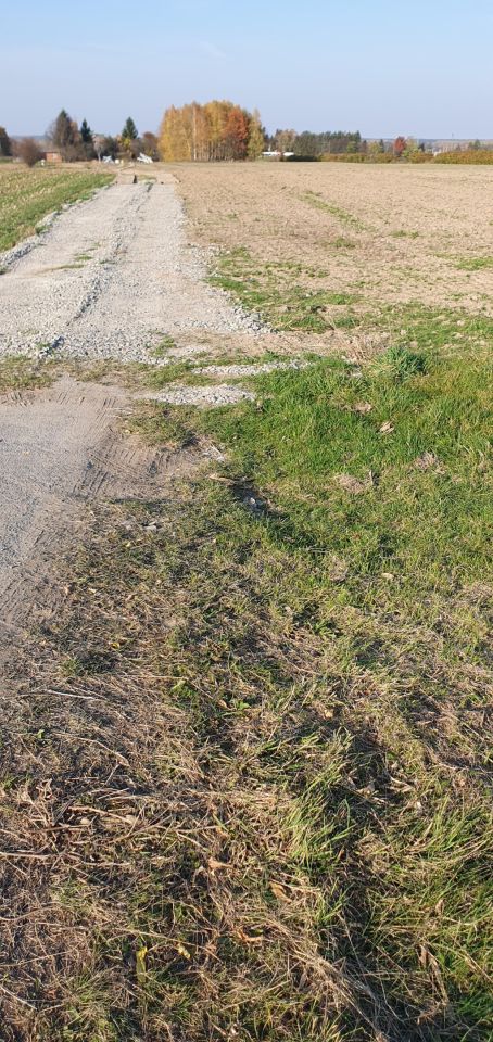 Działka rolna Sędziszów Małopolski Przedmieście Sędziszowskie, ul. Rzeszowska. Zdjęcie 2