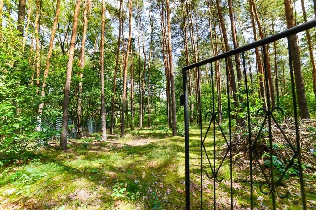 Działka rekreacyjna Poddębie. Zdjęcie 21