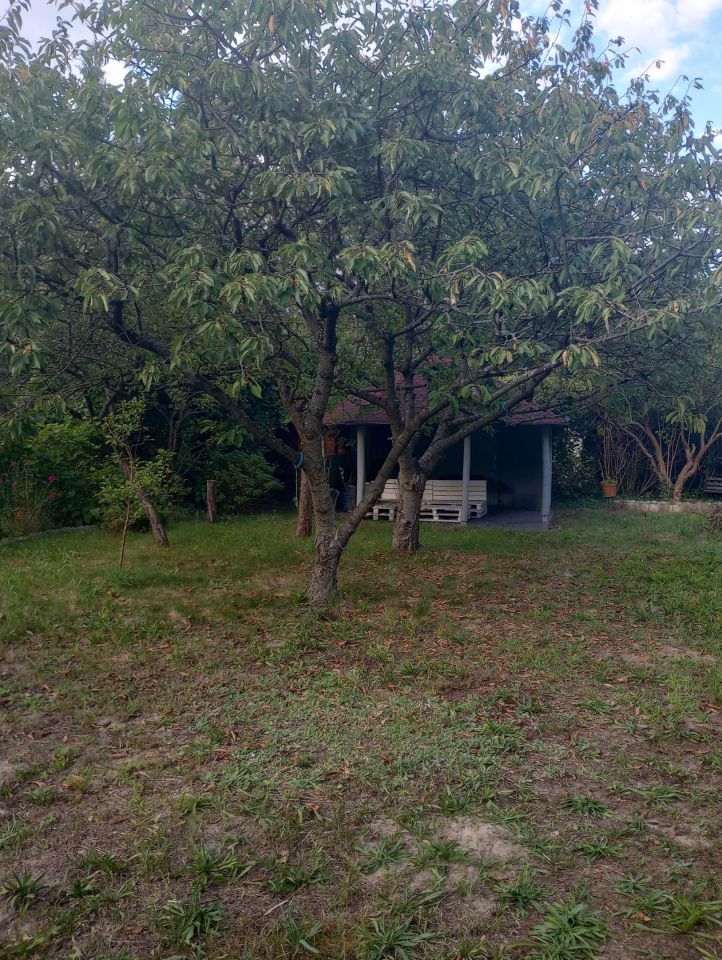 Działka rod Wilkanowo. Zdjęcie 4