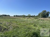 Działka rolna Zastań. Zdjęcie 4