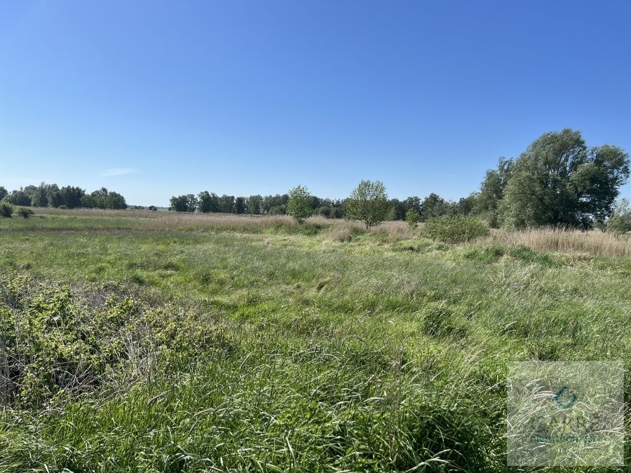 Działka rolna Zastań. Zdjęcie 6