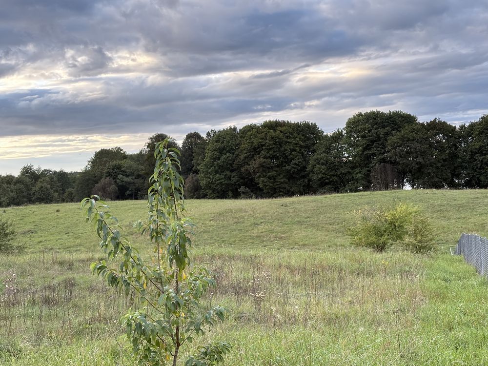 Działka budowlana Ramoty. Zdjęcie 7