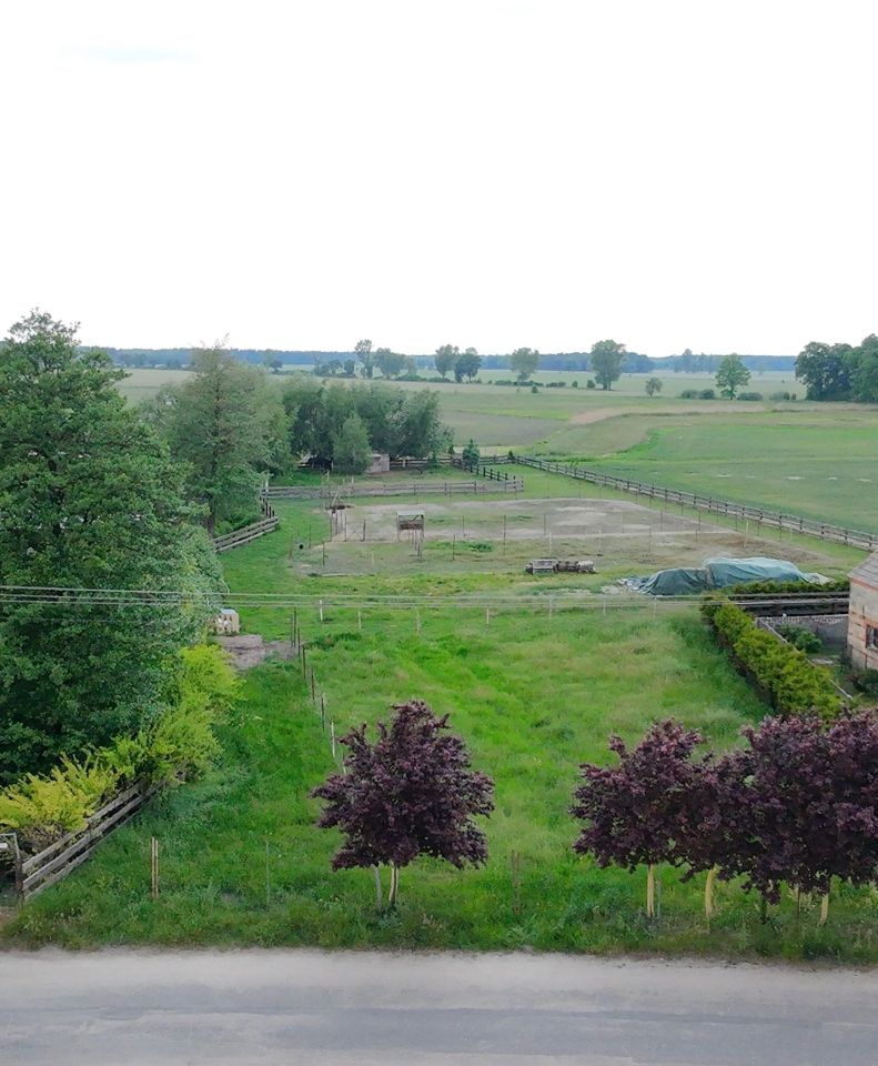Działka budowlana Tarchalin. Zdjęcie 8
