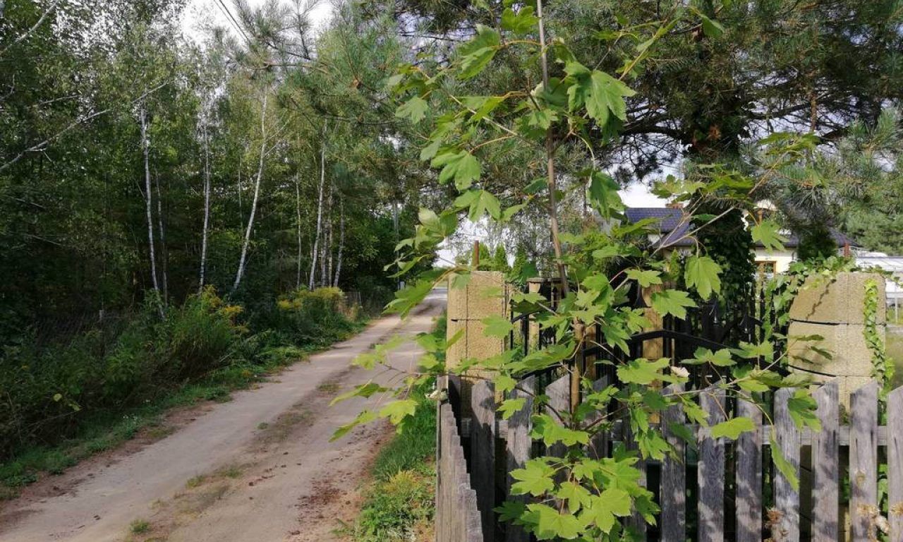 Działka budowlana Załuski. Zdjęcie 4