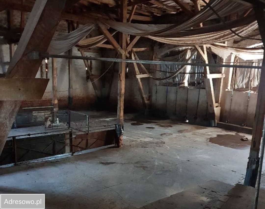 gospodarstwo, 7 pokoi Twierdzielewo. Zdjęcie 6