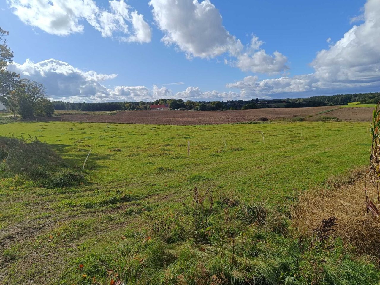 Działka budowlana Roztoka. Zdjęcie 6