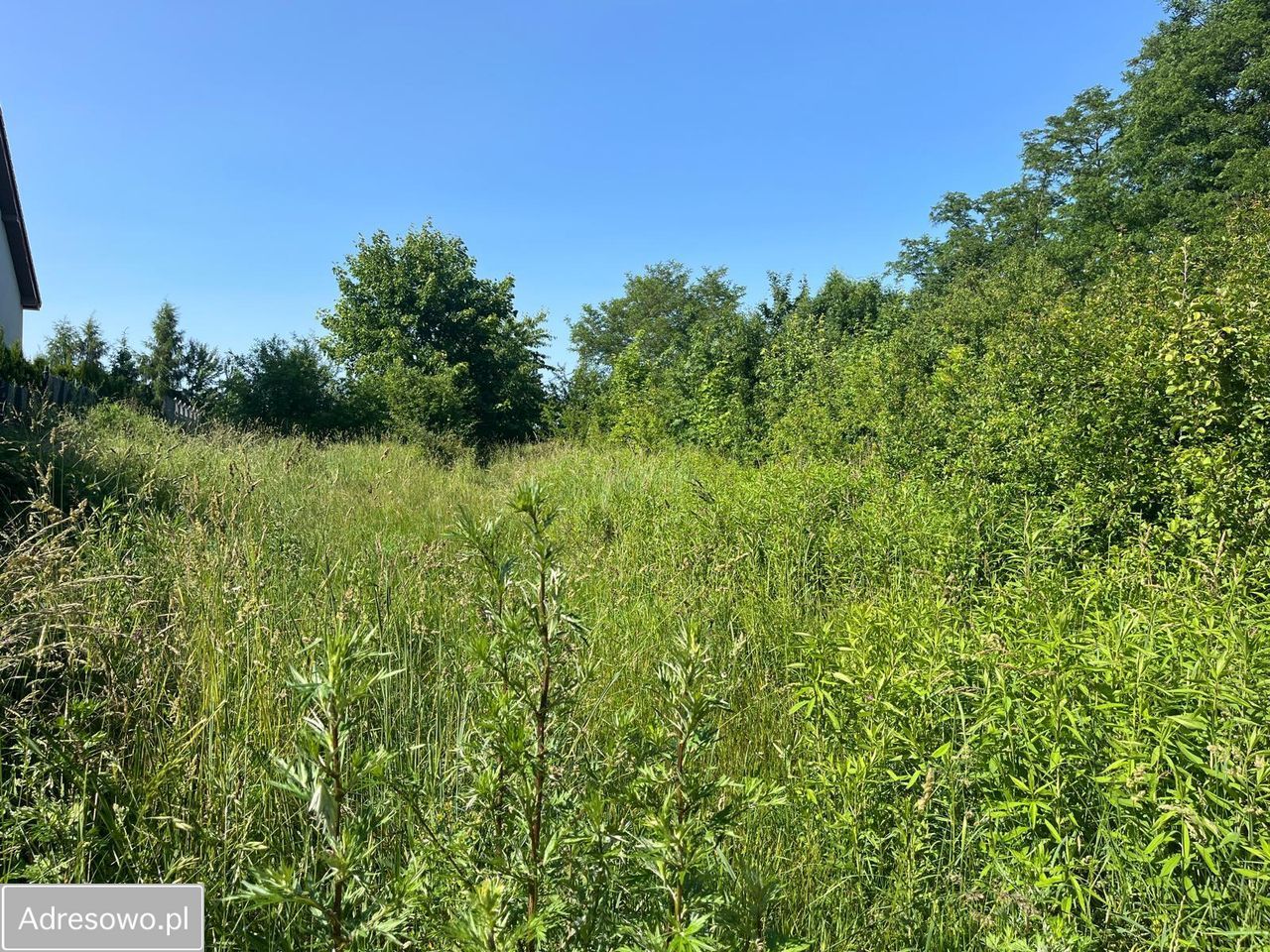 Działka budowlana Chmielów. Zdjęcie 3