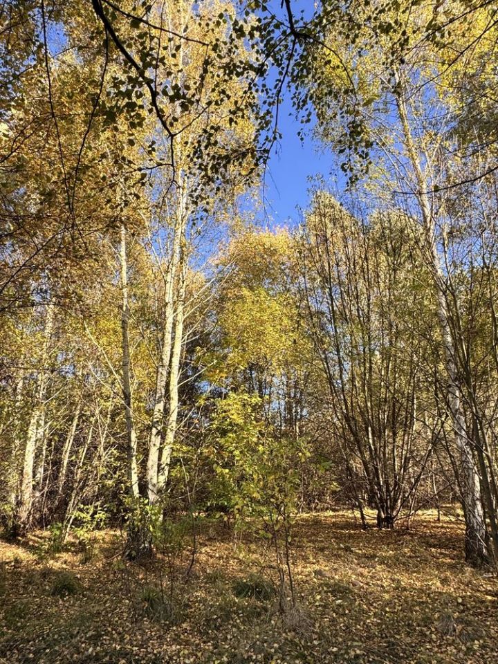 Działka rolno-budowlana Olbrachtów. Zdjęcie 4