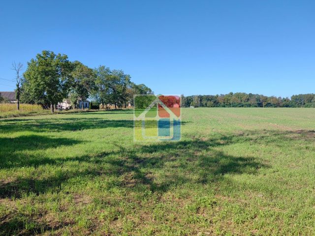 Działka rolna Zaborów Nowy. Zdjęcie 5