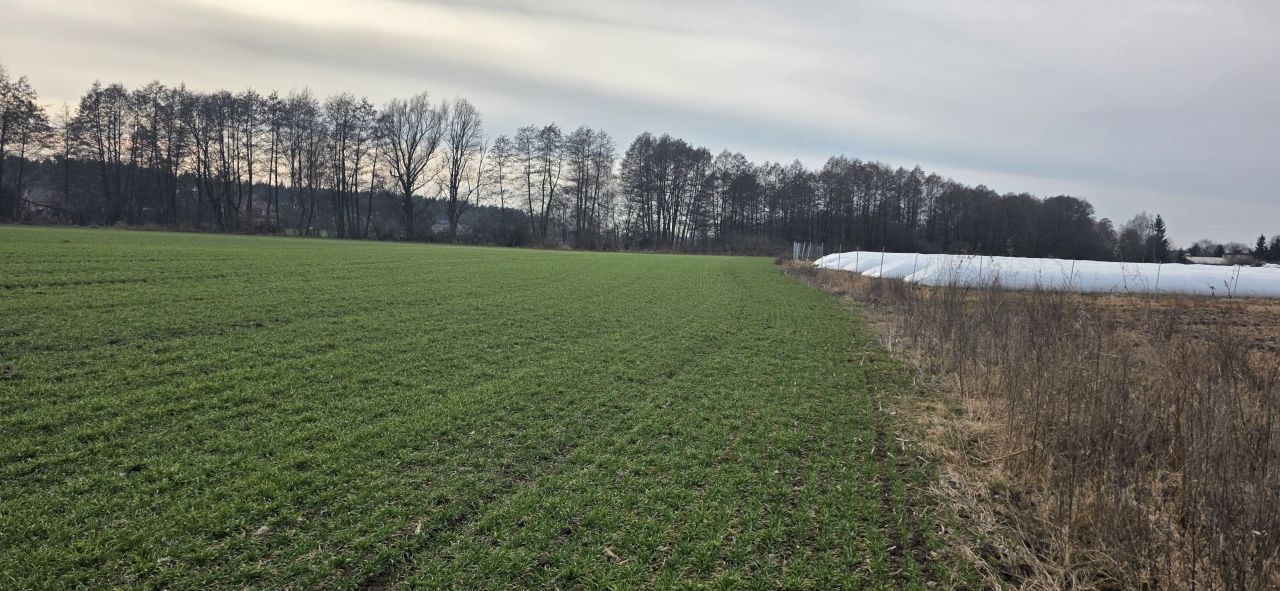 Działka rolno-budowlana Bojadła, ul. Słowikowa. Zdjęcie 3