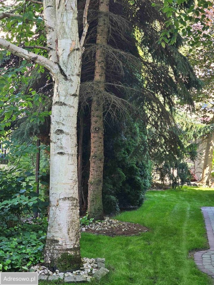 dom, 6 pokoi Częstochowa Wrzosowiak, ul. Marusarza. Zdjęcie 6
