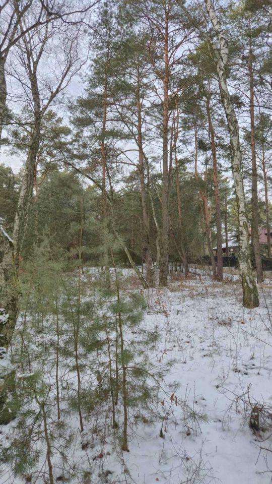 Działka budowlana Jedlicze B. Zdjęcie 3