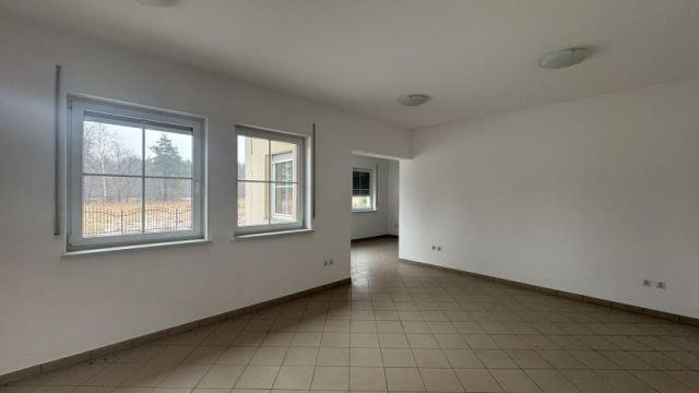 Lokal Brzeźnik. Zdjęcie 13