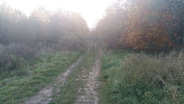 Działka rolna Bielsko-Biała, ul. Przelotna. Zdjęcie 1