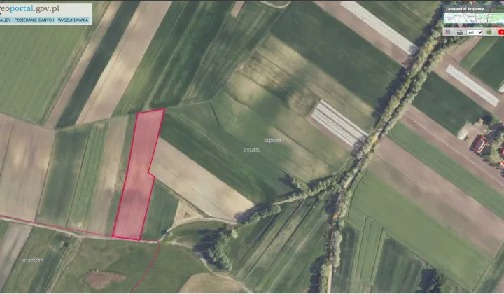 Działka rolna Zięblice