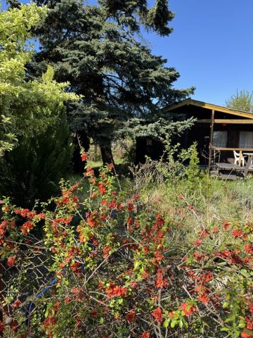 Działka rekreacyjna Warszawa Paluch. Zdjęcie 1