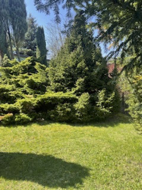 Działka rod Szałe, ul. Wiśniowa. Zdjęcie 2