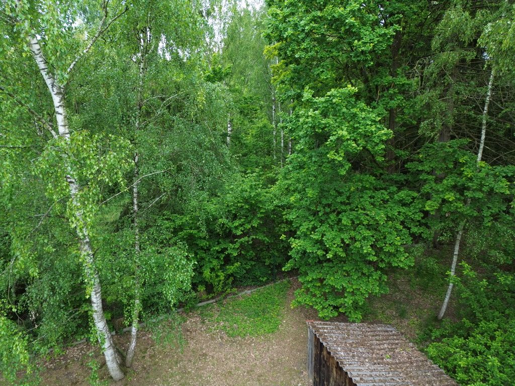 Działka budowlana Złotokłos. Zdjęcie 9