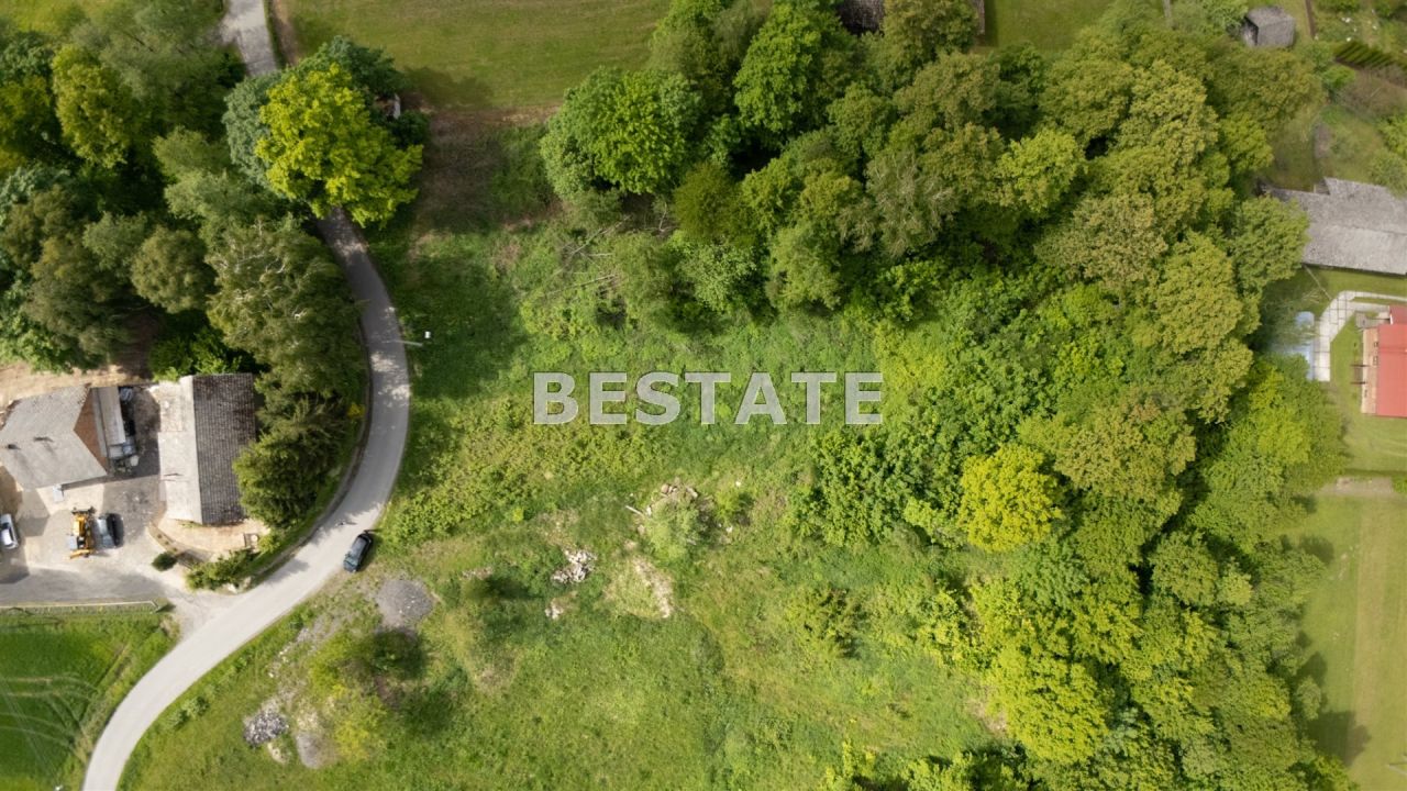 Działka leśna Szynwałd. Zdjęcie 3